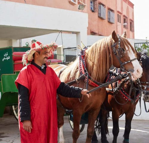 Man standing next to two horses harnessed to carriage