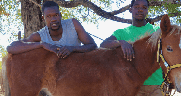 Ray the foal from Botswanawith his owners Joel and Mpho Gubago