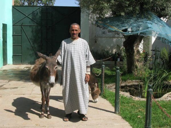 Saida the donkey and her owner
