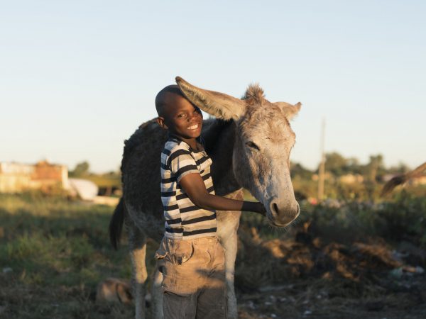Boy with his donkey in South Africa