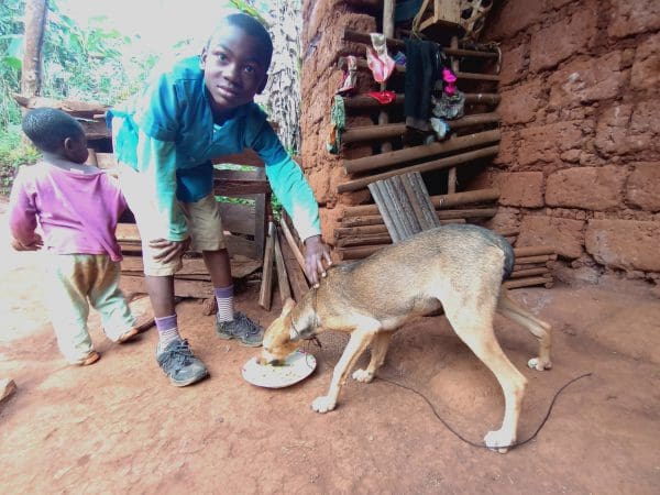 A boy feeds his dog after attending a SPANA humane welfare class.