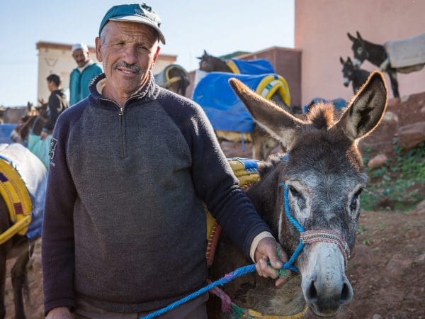 A donkey and her owner at a SPANA mobile clinic in Morocco.