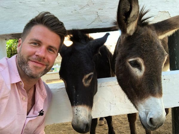 Dr James Greenwood with two donkeys with their heads poking through a white fence