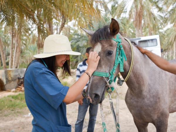 Female SPANA vet smiling looking at a horses face