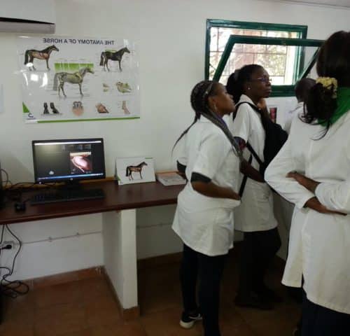 Inside a SPANA vet clinic in Mozambique with three vets looking to the right