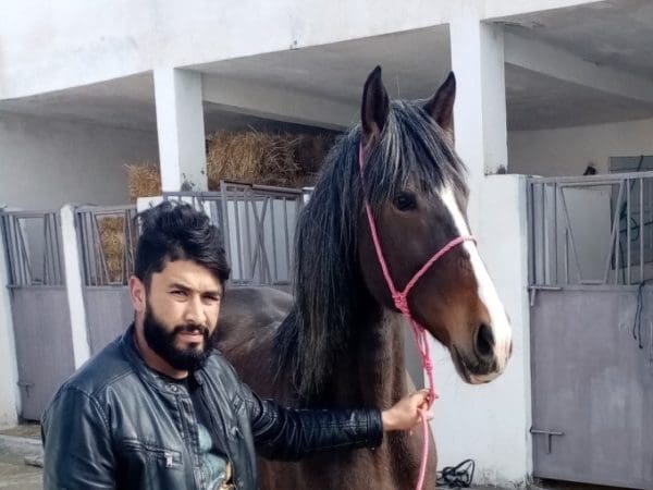 A man wearing a black leather jacket standing holding a brown horse in front of stables