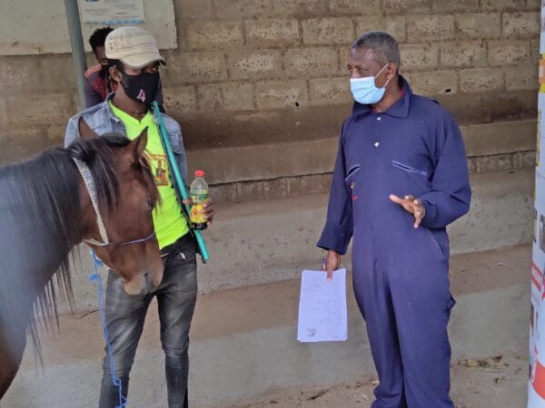 A SPANA vet advises the owner of a working horse about EZL