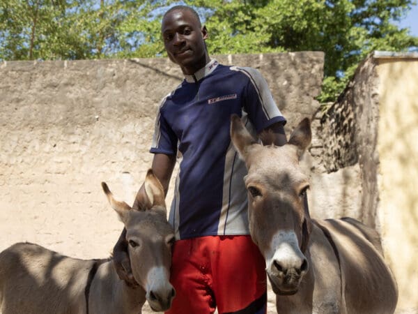 A working animal owner with a donkey and foal in Mali