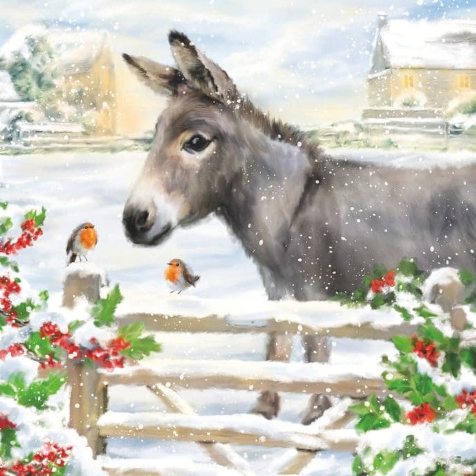 Illustrated card design - Donkey looking over snowy gate