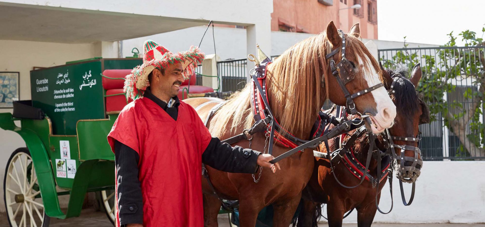 Man standing next to two horses harnessed to carriage