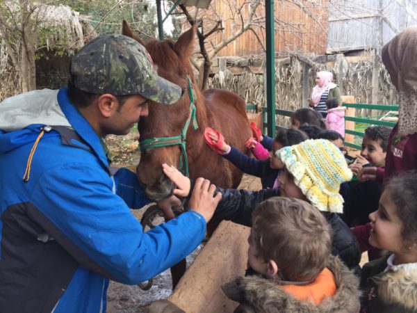 Children touching a horse