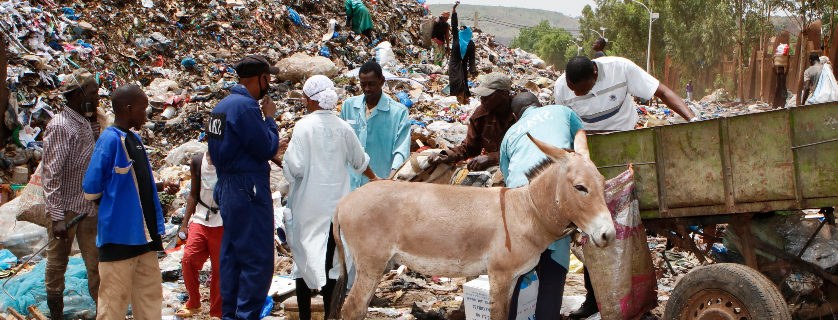 Bamako rubbish dump donkeys