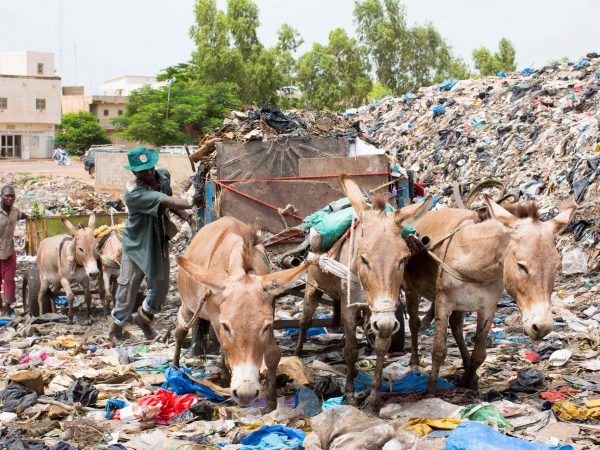 Mali rubbish and donkeys