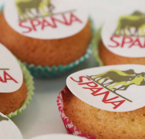 SPANA cupcakes