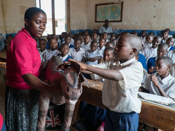 A child strokes a plastic donkey in an animal welfare class in Tanzania