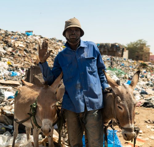 two donkeys in bamako with their owner