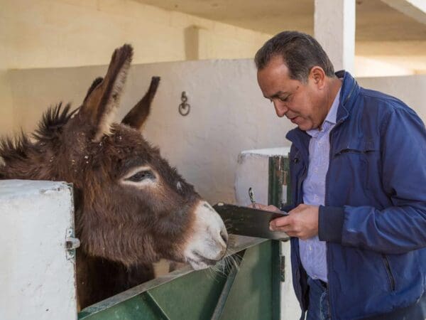 A man with a clipboard standing next to a brown donkey in a stall